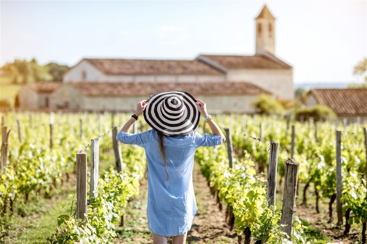 vignobles bordelais