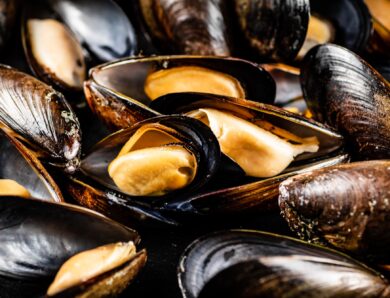 Découvrez si l’on peut congeler des moules fraîches sans perte de qualité