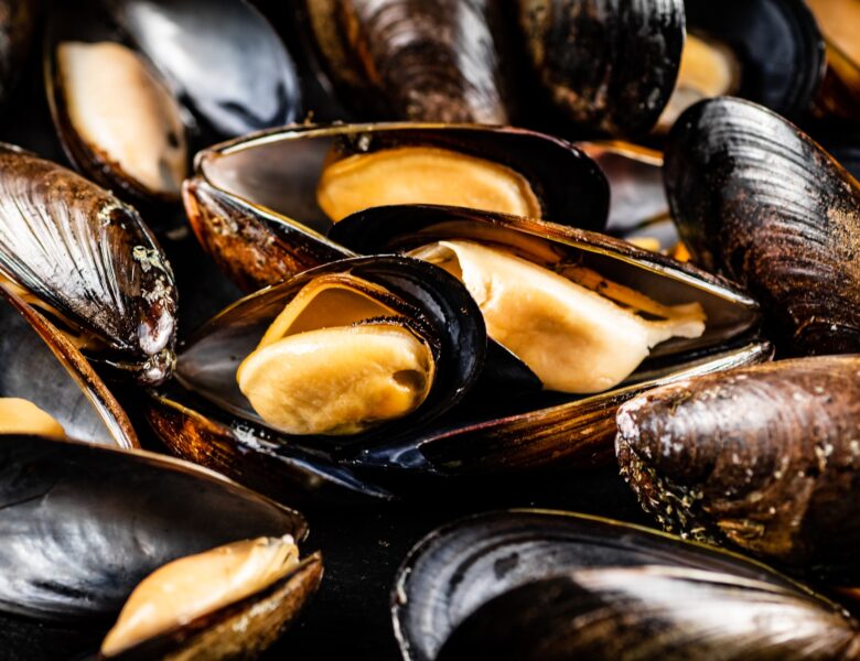 Découvrez si l’on peut congeler des moules fraîches sans perte de qualité