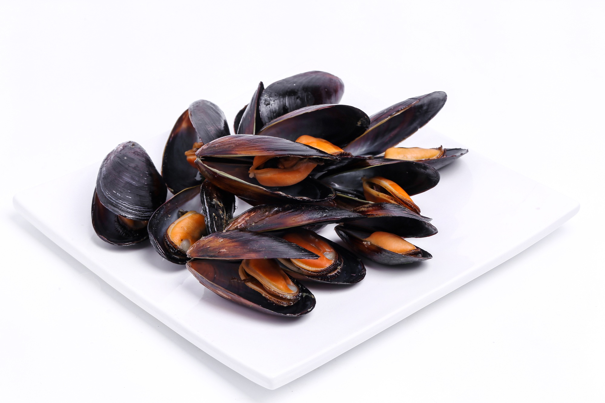 congeler moules
