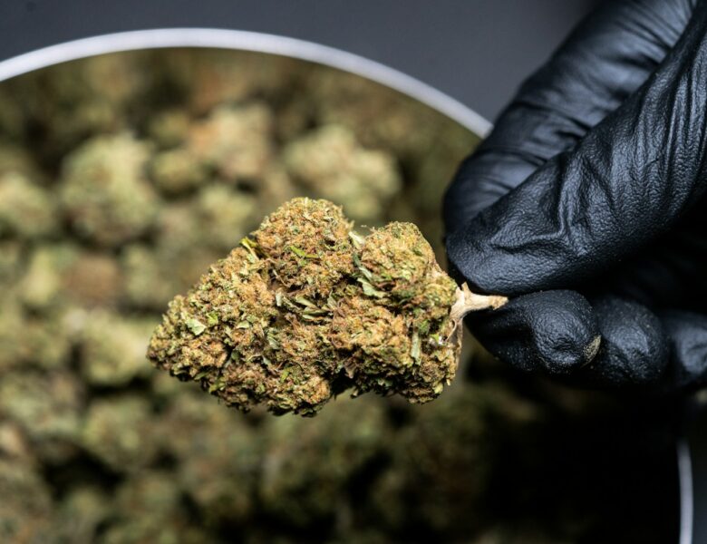 Les astuces de chefs pour savoir comment effriter de la CBD